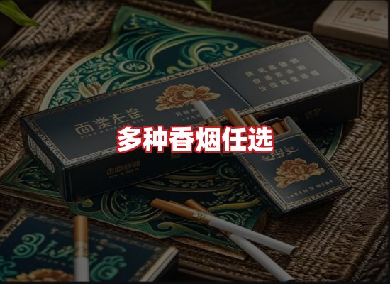 专业团队